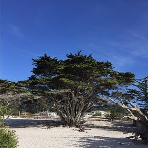 Meet your Posher, Leslie